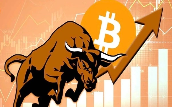 Crypto bull market showing growth trends for Bitcoin and Ethereum.