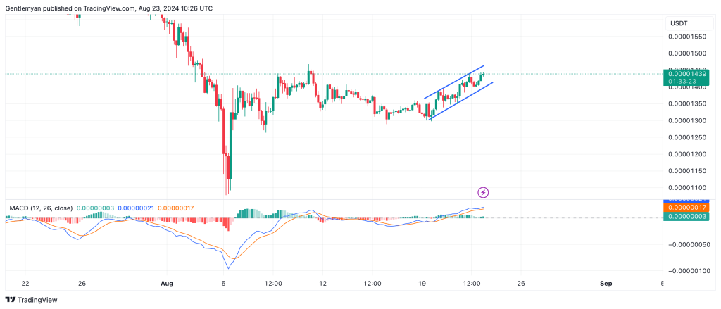 courtesy: Trading View