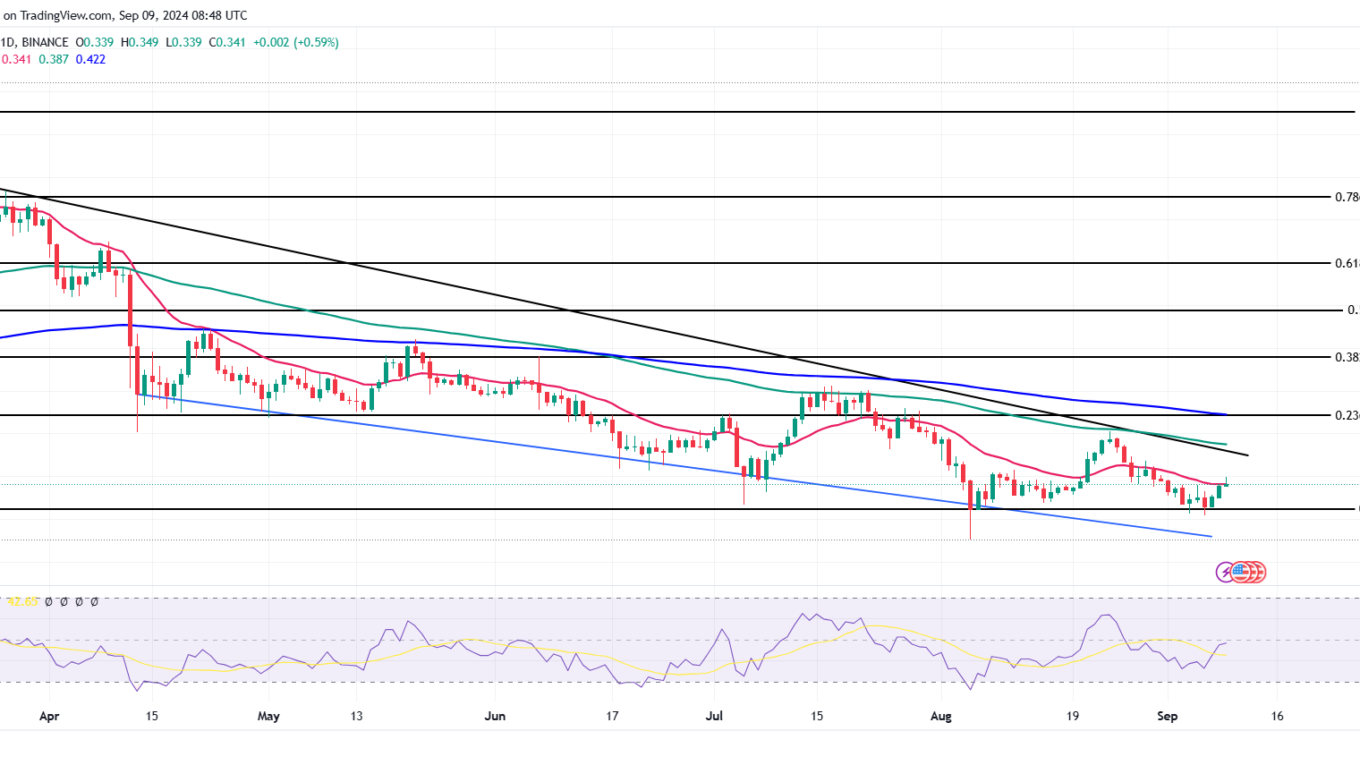 Cardano's ADA Eyes 20% Rally Amid Rising Network Activity